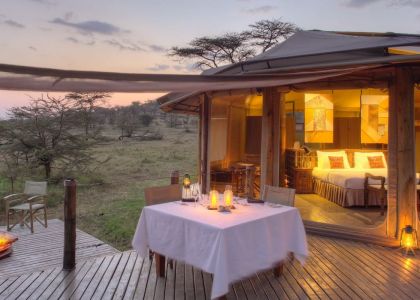 world-of-glamping-collection-saruni-africa-safari-game-drive-monkeys.jpg