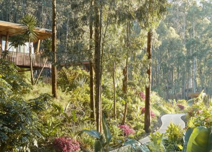 world-of-glamping-thorntree-river-lodge-3.jpg