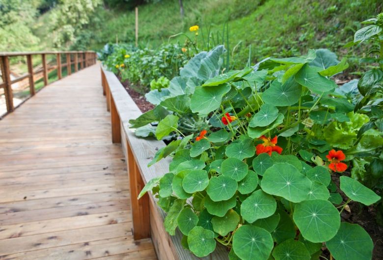 Sustainability at Herbal Glamping Resort Ljubno