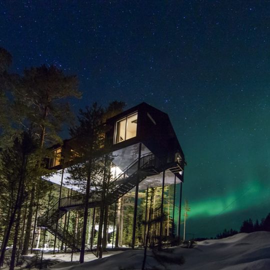 world-of-glamping-collection-treehotel-7th-room.jpg