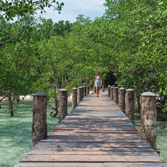world-of-glamping-wa-ale-scenery-2.jpg