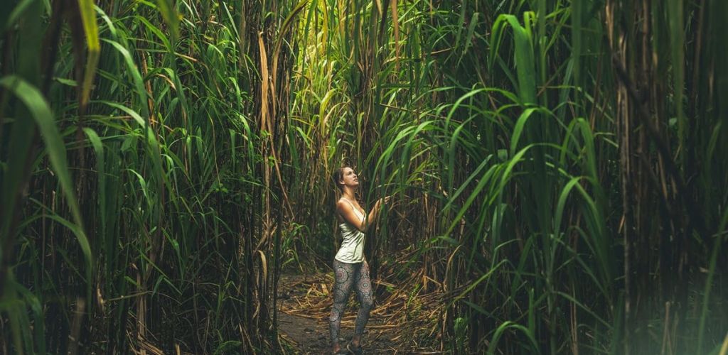 world-of-glamping-nayara-tented-camp-13-jungle.jpg